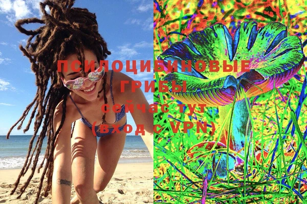 эйфоретик Осинники