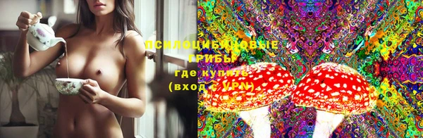 эйфоретик Осинники