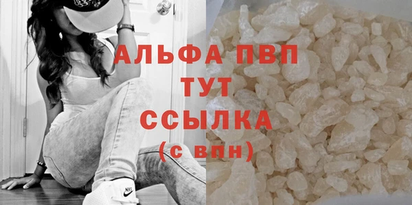 ГАЛЛЮЦИНОГЕННЫЕ ГРИБЫ Осташков