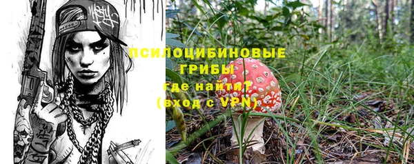 эйфоретик Осинники