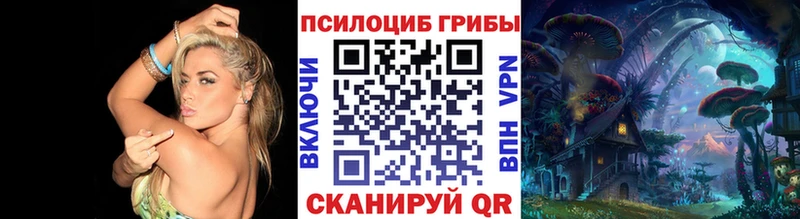 Галлюциногенные грибы GOLDEN TEACHER  как найти закладки  Ступино 